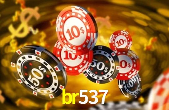 Programa VIP br537
