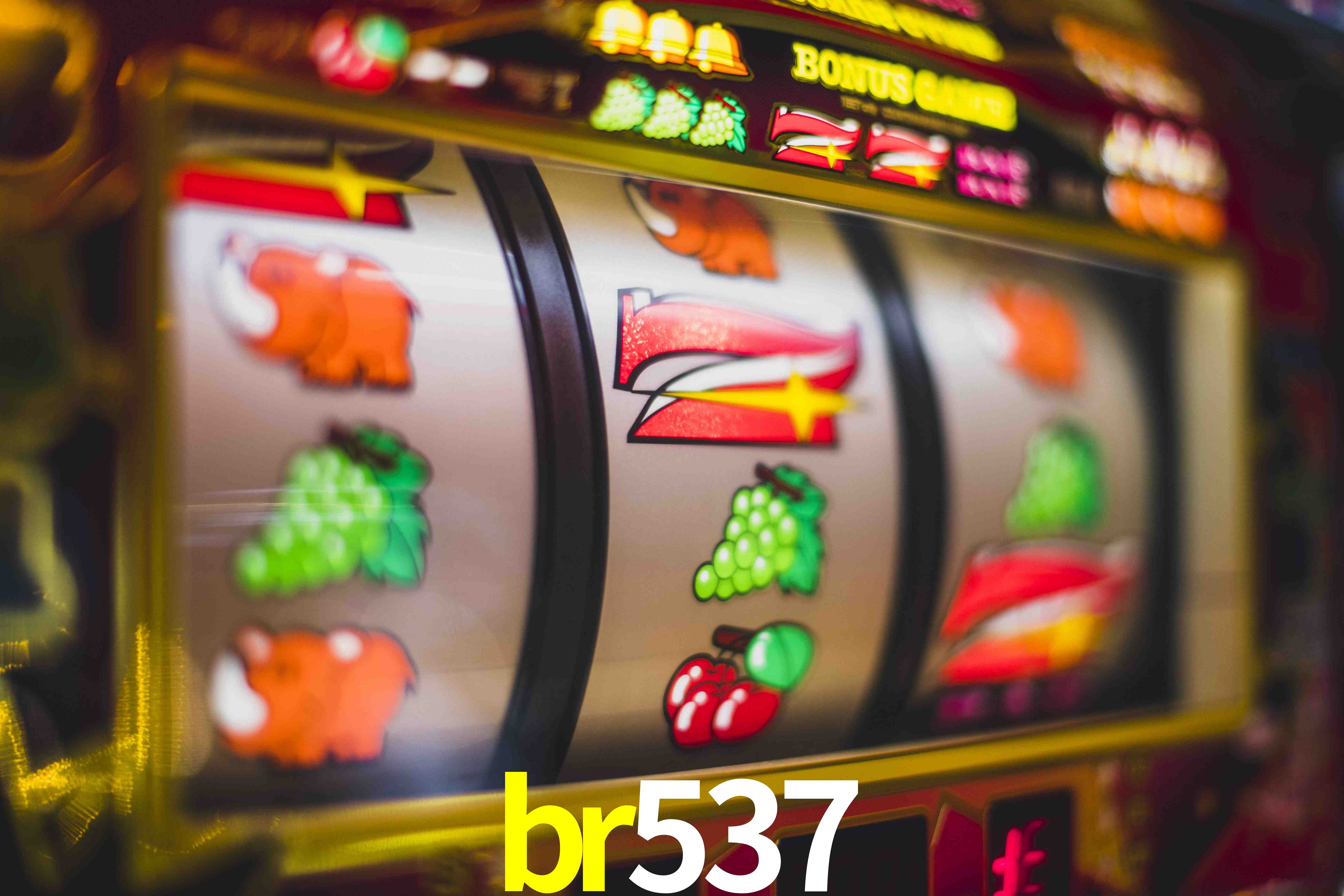Sports Statistics br537